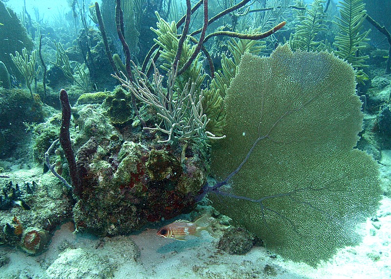 Bayahibe - Parque Nacional II, Bayahibe,Dominikanische Republik