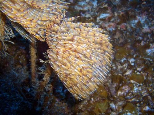 El Hierro, El Hierro,Spanien