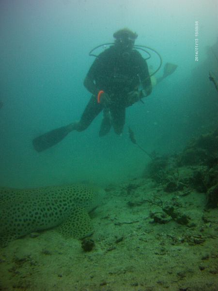 Merlin Divers (Kamala Diving Center),Kamala,Phuket,Andamanensee,Thailand
