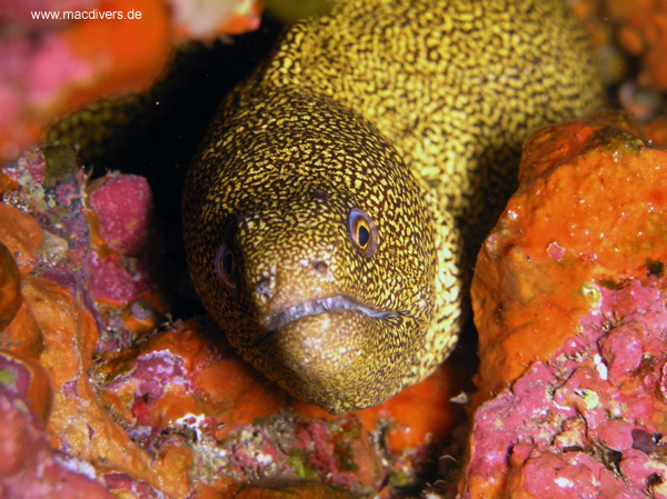 El Hierro, El Hierro,Spanien