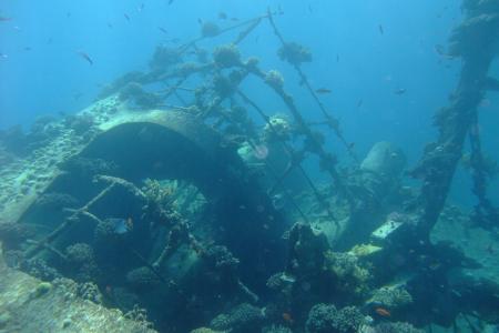 Extra Divers,Brayka Bay,Marsa Alam,Marsa Alam und südlich,Ägypten