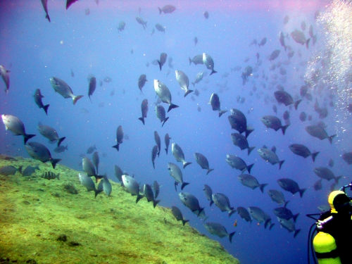 El Hierro, El Hierro,Spanien