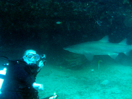 Magic Point - Maroubra - Shark Dive,Australien