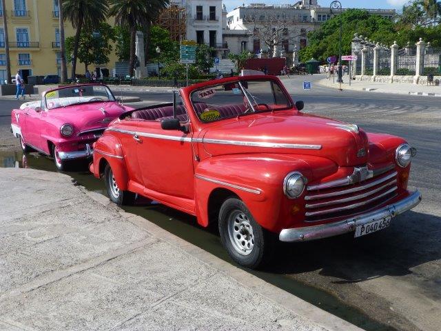 Avalon Jardin de la Reina, Kuba