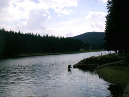 Lütschetalsperre,Frankenhain,Thüringen,Deutschland