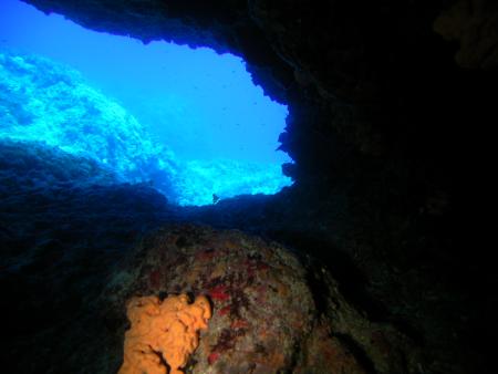 Zante Diving,Zakynthos,Laganas,Griechenland