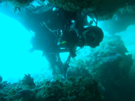Exclusive Divers Algarve,Portugal