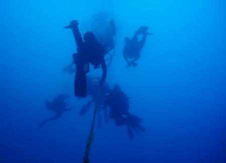 Wahoo-Diving,Santa Maria,Azoren,Portugal