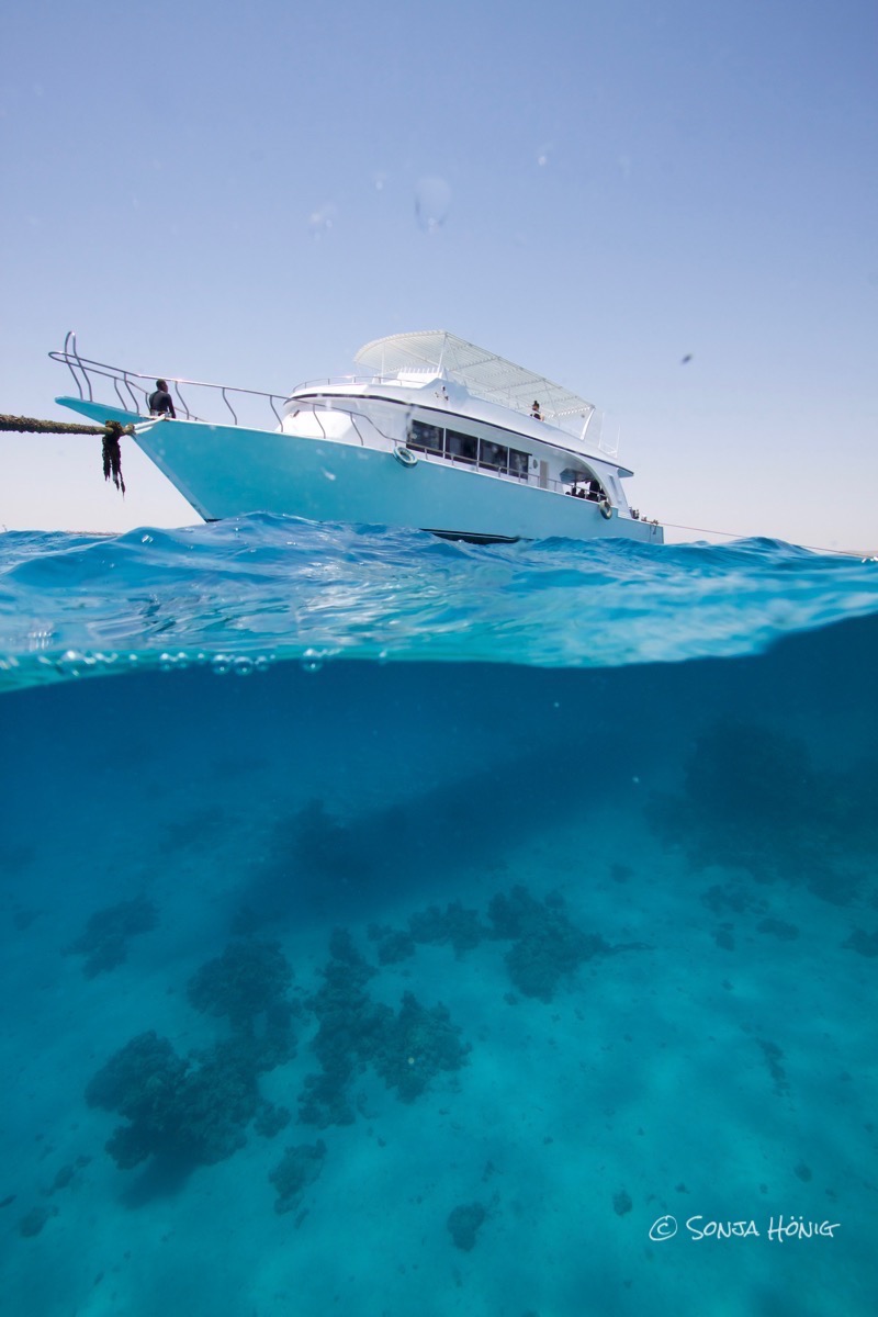 TG von der Benny halb und halb, diving.DE Akassia, Ägypten, El Quseir bis Port Ghalib