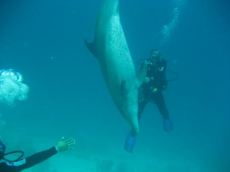 Deep Blue Divers,Hurghada,Ägypten