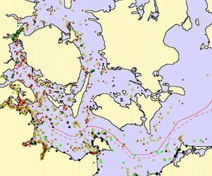 Karte der Schweinswalsichtungen Ostsee