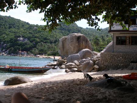 Calypso Diving Koh Tao,Golf von Thailand,Thailand