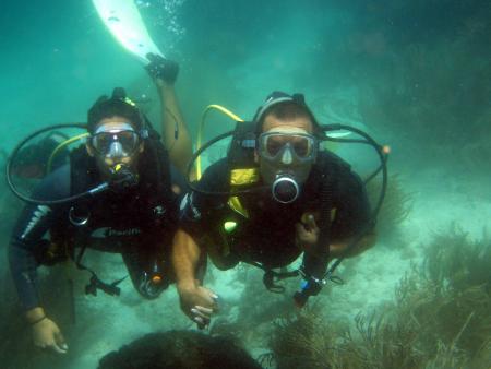 Scuba Pelicano,Isla Margarita,Juan Griego / Venezuela,Venezuela