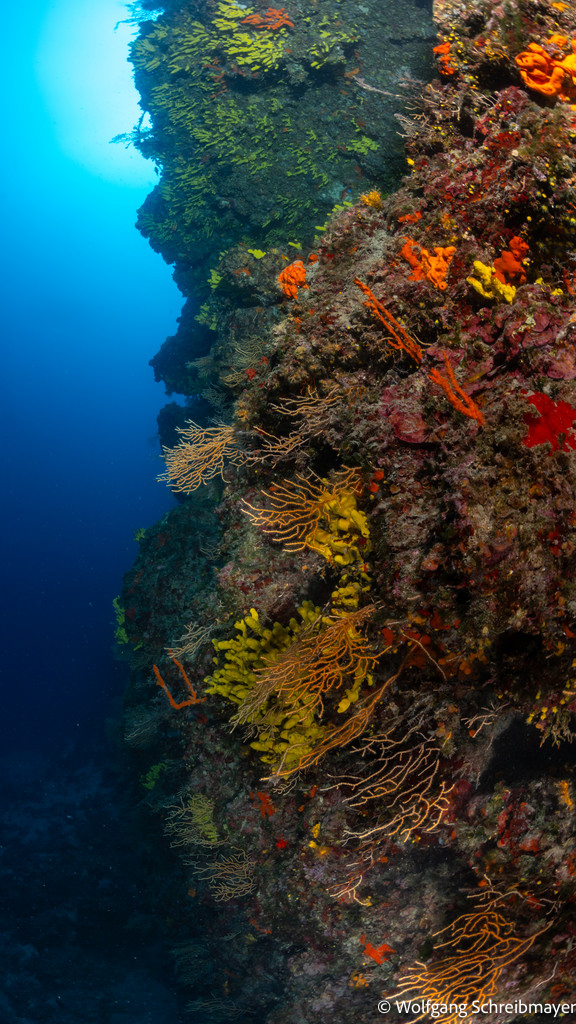 Punta Diving, Betina, Kroatien