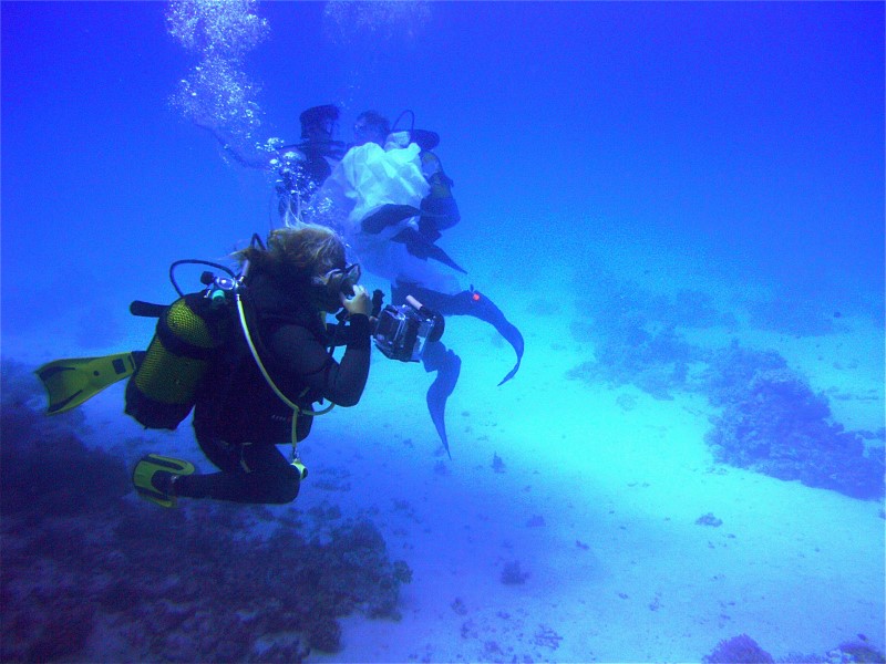 Unterwasserhochzeit Tobia Arbaa, Safaga ORCA - Dive Clubs,Ägypten