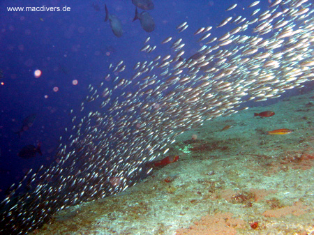 El Hierro, El Hierro,Spanien