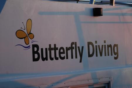 Butterfly Diving,Tucepi,Kroatien