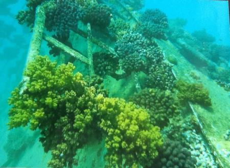 Beachsafari Diving Camp Marsa Alam,Marsa Alam und südlich,Ägypten
