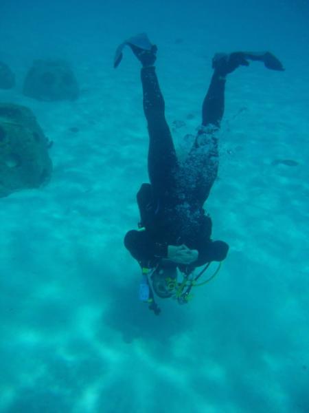 Curacao Divers (Sun Reef Village),Sint Michiel,Curaçao,Niederländische Antillen
