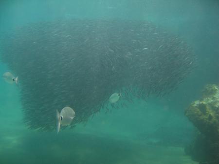Aquatis Divingcenter Lanzarote,Kanarische Inseln,Spanien