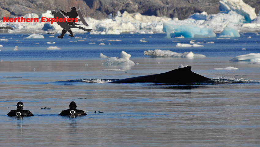 Northern Explorers - Tasiilaq (East Greenland), Ostküste Tasiilaq (East Greenland),Grönland