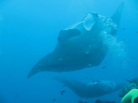 Bandos Island Resort,Nord Male Atoll,Malediven