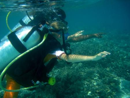 Vilu Reef,Süd Nilande Atoll,Sun Diving,Malediven