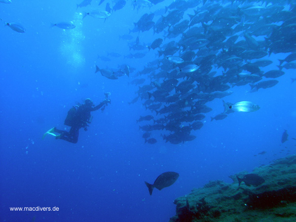 El Hierro, El Hierro,Spanien