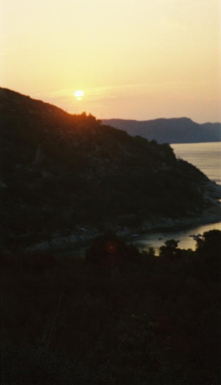 Hydra,Fetovaia (Elba),Italien