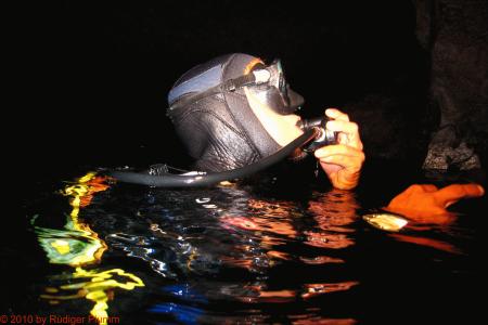 Buceo-Sub La Palma,Kanarische Inseln,Spanien