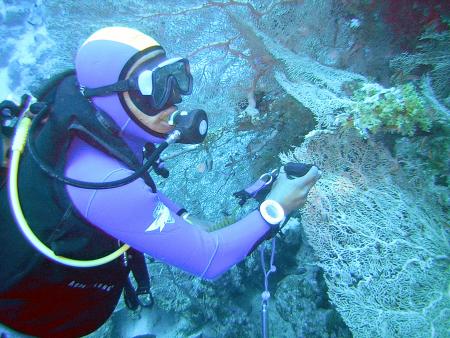 Extra Divers,Three Corners Palmyra Resort,Nabq Bay,Sinai-Süd bis Nabq,Ägypten