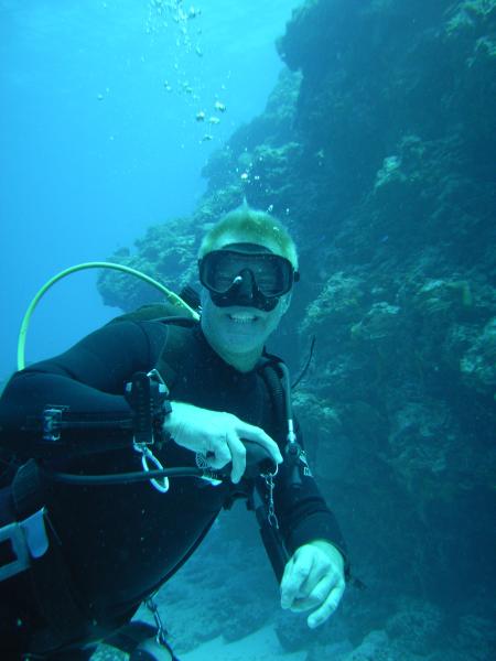 Aquamarinas,Cozumel,Mexiko