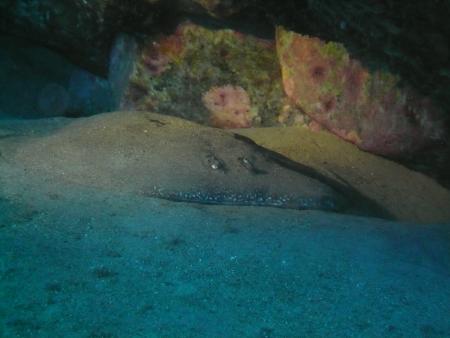 R.C. Diving,Puerto del Carmen,Lanzarote,Kanarische Inseln,Spanien