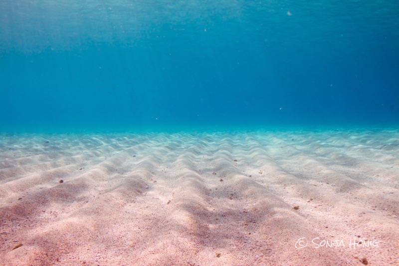 Abu Dabab, diving.DE Akassia, Ägypten, El Quseir bis Port Ghalib