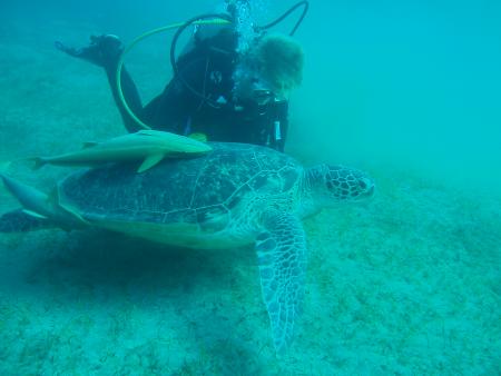 Extra Divers,Marsa Alam,Coraya Beach,Marsa Alam und südlich,Ägypten