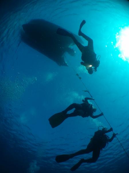 M.A.-Diving,Puerto del Carmen,Lanzarote,Kanarische Inseln,Spanien