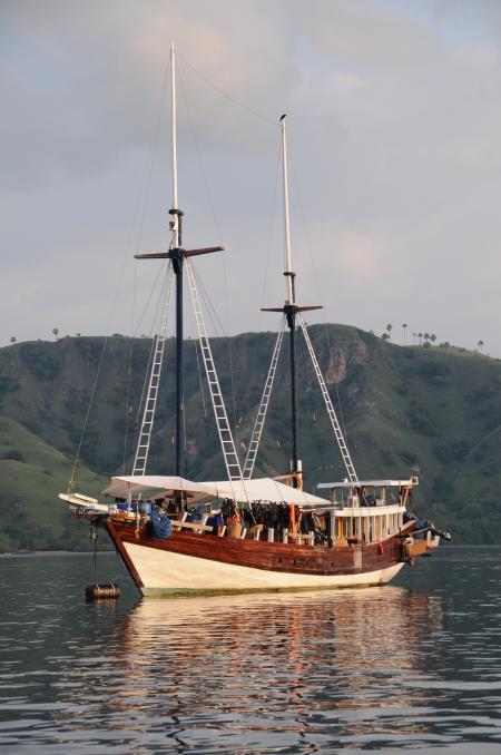 Scuba Native Tauchreisen,Duyung Baru,Indonesien,Deutschland