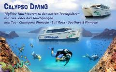 Calypso Diving,Koh Samui,Golf von Thailand,Thailand