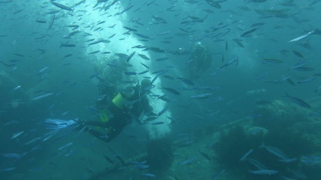 Big Blue Diving Club,Hurghada,Ägypten