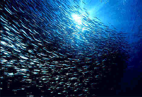 Luzon / Palawan, Luzon,Palawan,Philippinen