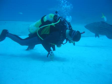 Xanadu Undersea Adventures,Grand Bahama,Bahamas