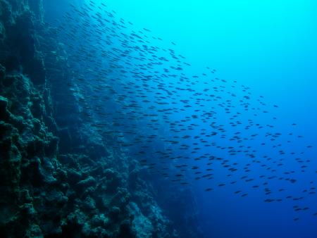 J-Dive,Marmaris,Türkei