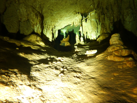 Cenote-Diving.Com,Mexiko