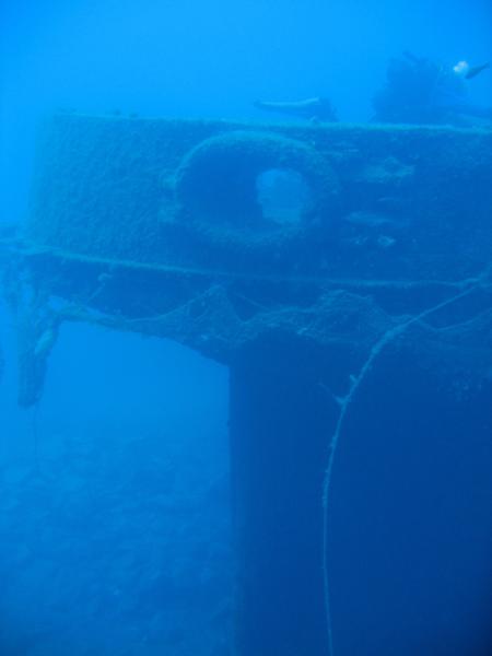 Mad Shark Diving,St. Pauls Bay,Malta