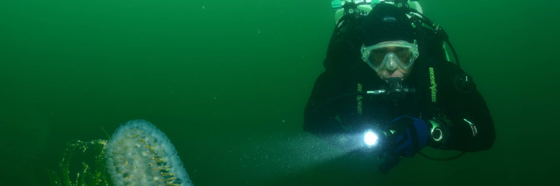 Aquashot Limburg Die Niederlande Unter Wasser Diveinside News