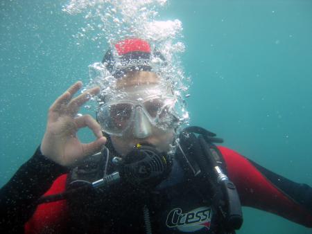 Buceo-Sub La Palma,Kanarische Inseln,Spanien