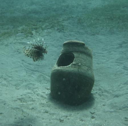 diving.DE el Flamenco,El Quseir bis Port Ghalib,Ägypten