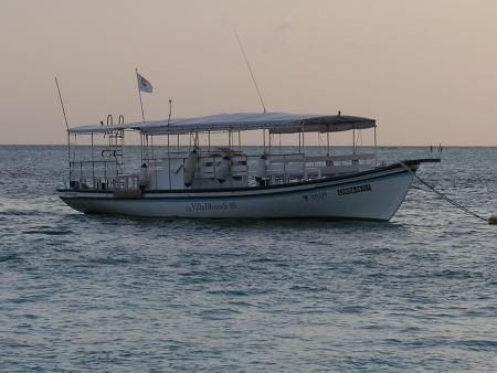 Holiday Island – diveOceanus,Malediven
