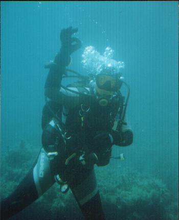 Mad Shark Diving,St. Pauls Bay,Malta