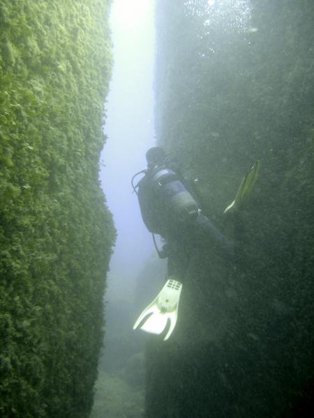 Le Merou / Mehari Diving Center,Tabarka,Tunesien